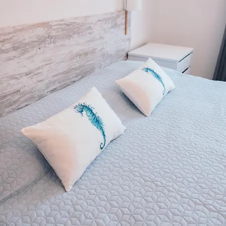 Costanova Surfhouse Ílhavo