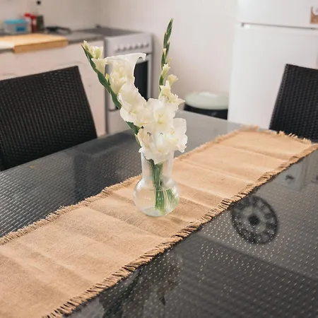 Costanova Surfhouse Farm stay *