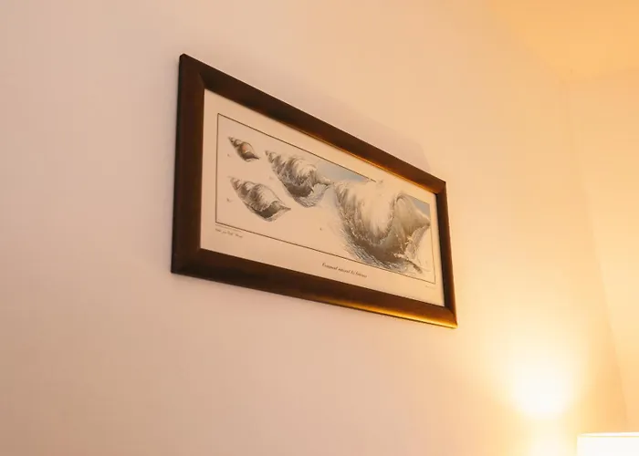 农家乐 Costanova Surfhouse 伊利亚武