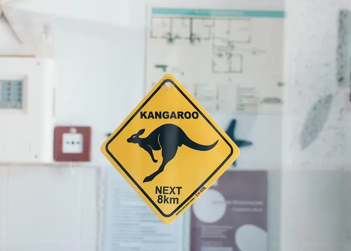 Costanova Surfhouse 伊利亚武